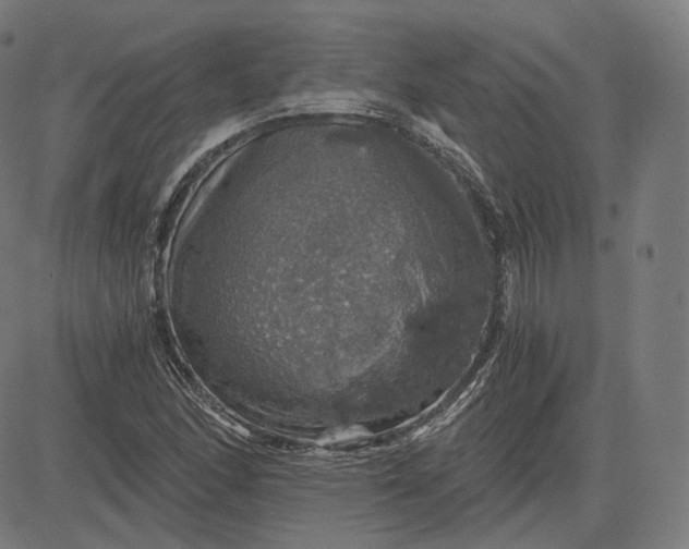 X0000084531166200703091620