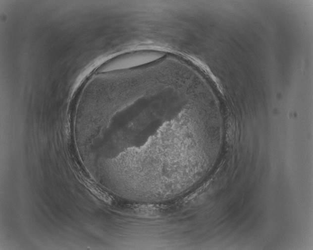 X0000084531167200703091620