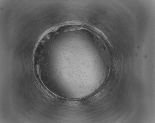 X0000084531168200703091620