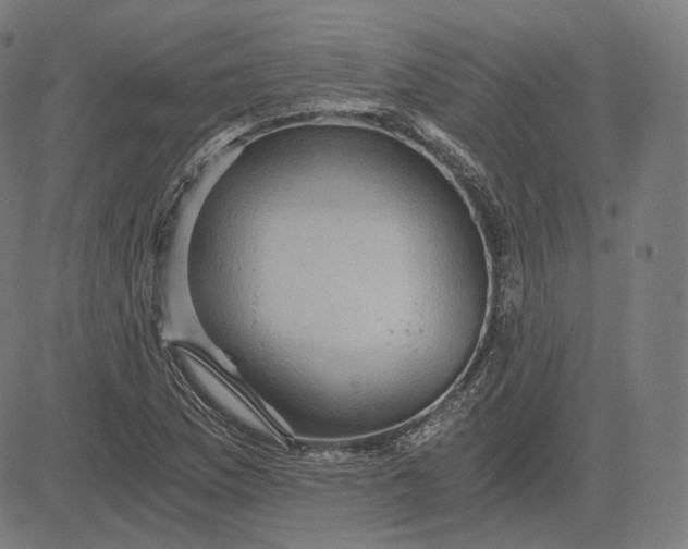 X0000084531169200703091620