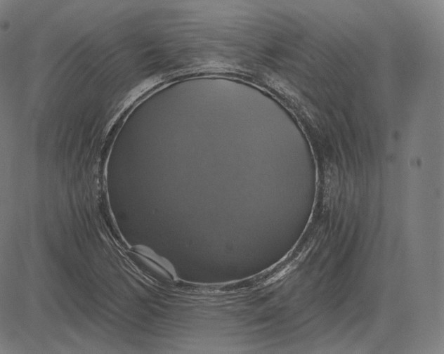 X0000084531170200703091620