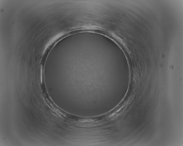 X0000084531171200703091620