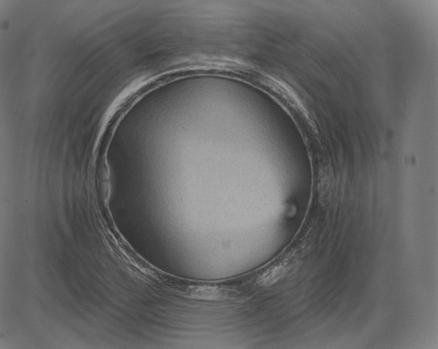 X0000084531172200703091620