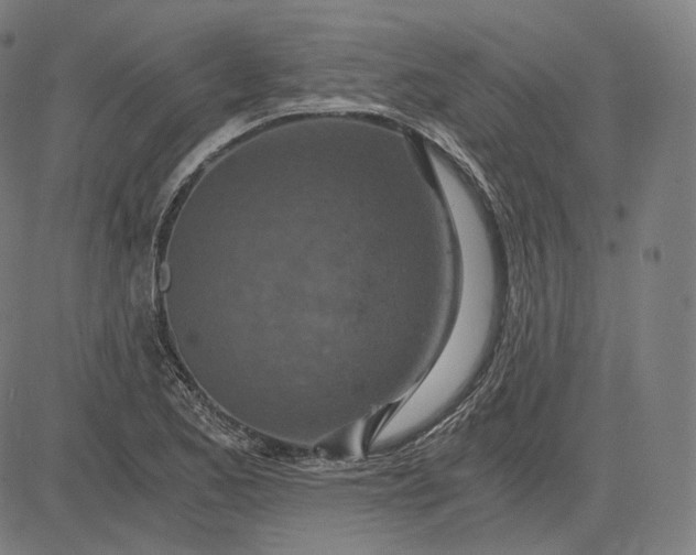 X0000084531173200703091620