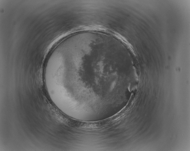 X0000084531174200703091620