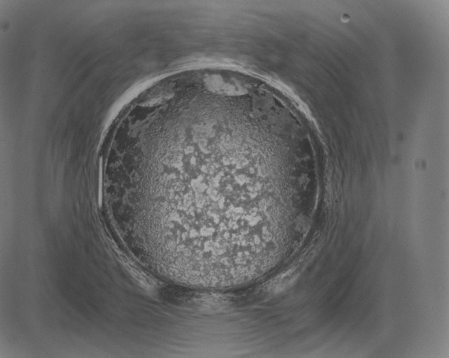 X0000084531175200703091620