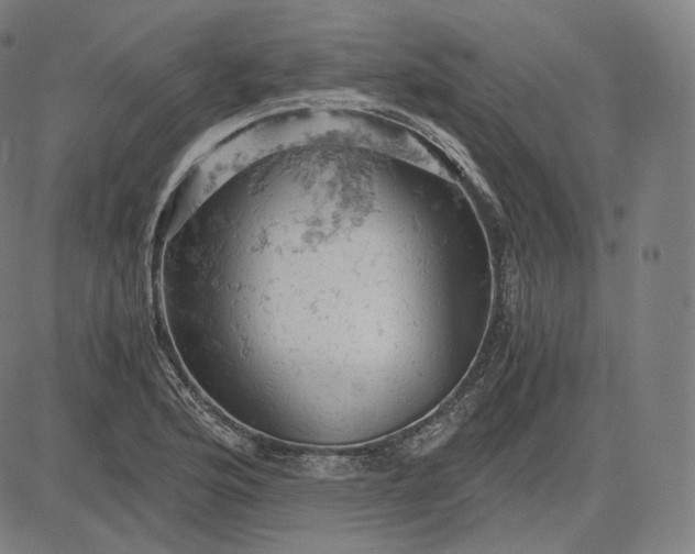 X0000084531176200703091620