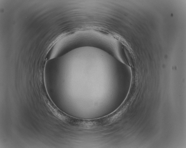 X0000084531177200703091620