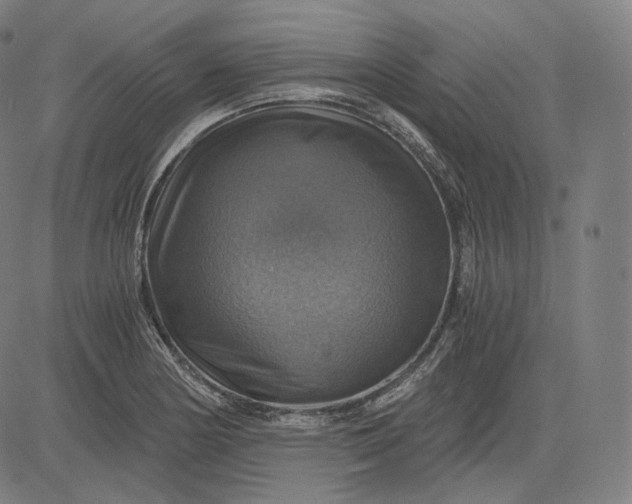 X0000084531178200703091620