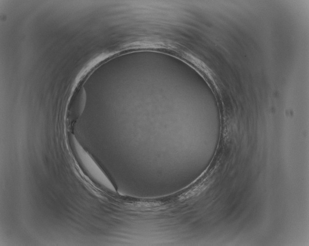 X0000084531179200703091620