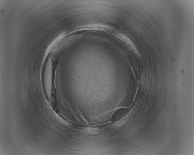 X0000084531180200703091620