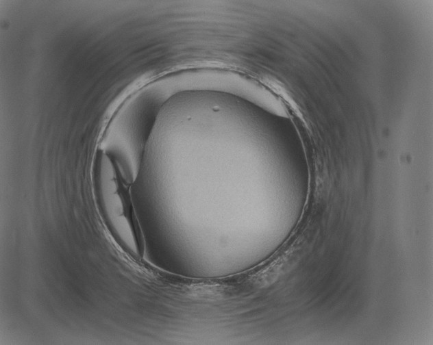 X0000084531181200703091620