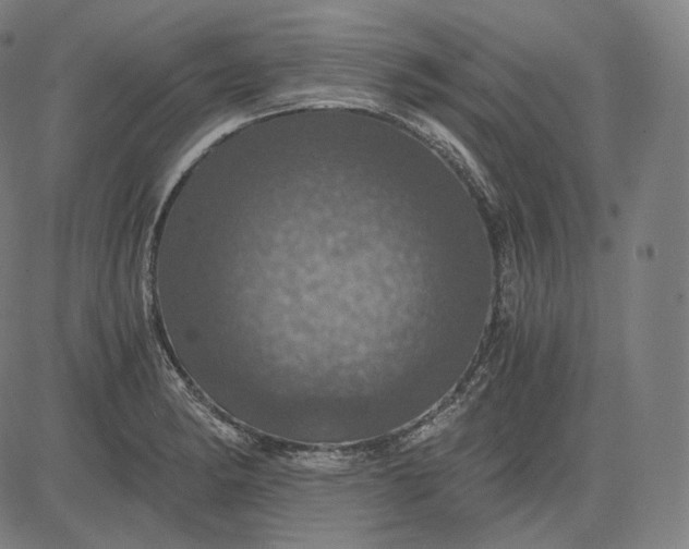 X0000084531182200703091620