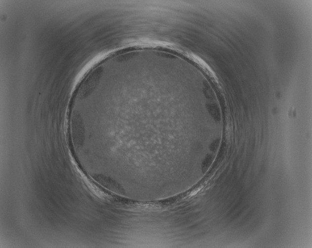 X0000084531183200703091620