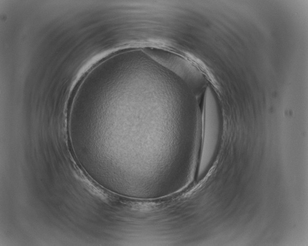 X0000084531184200703091620