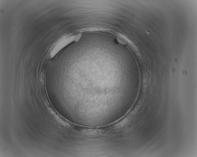 X0000084531185200703091620