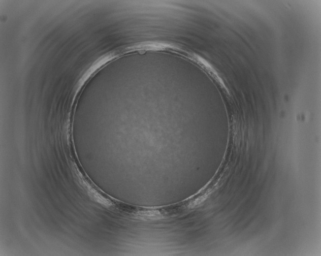 X0000084531186200703091620