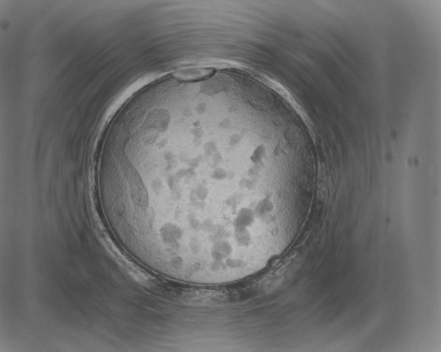 X0000084531187200703091620