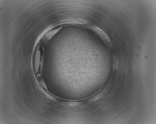 X0000084531188200703091620