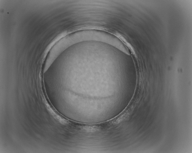 X0000084531189200703091620