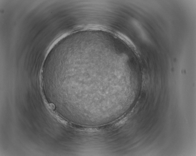 X0000084531190200703091620