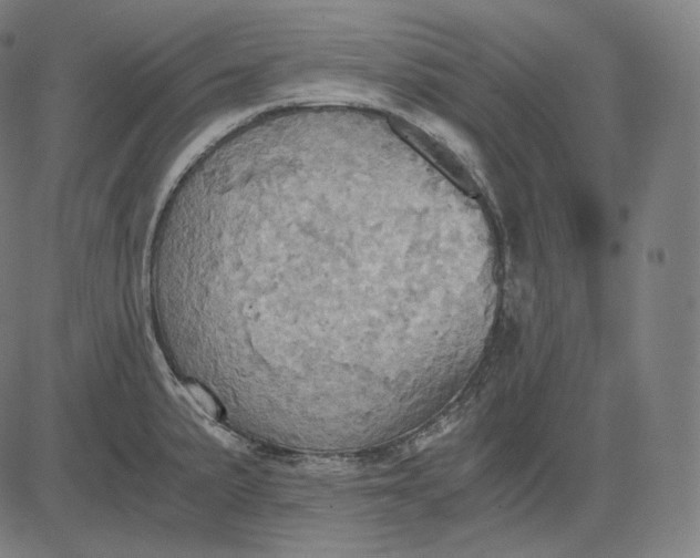 X0000084531191200703091620