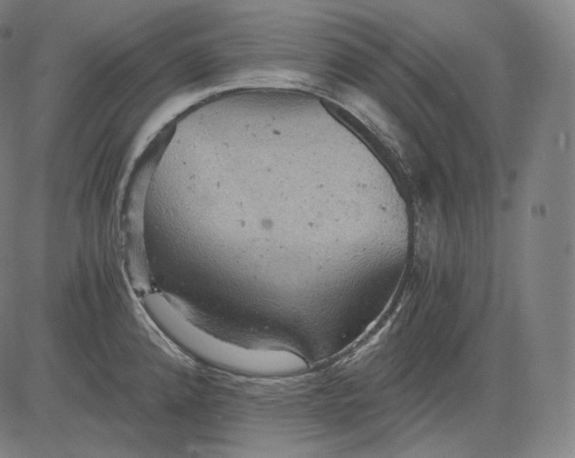 X0000084531192200703091620