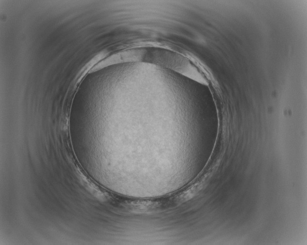 X0000084531193200703091620