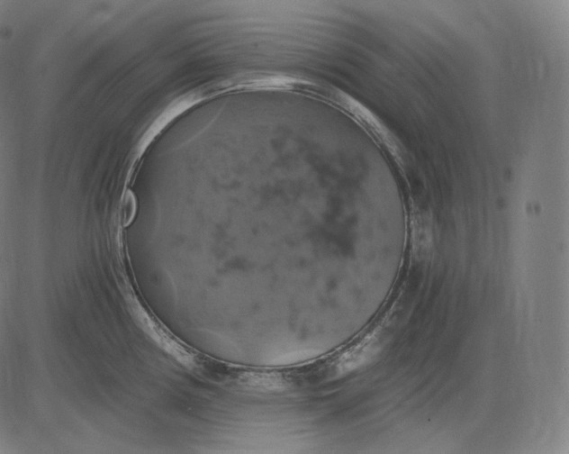 X0000084531194200703091620