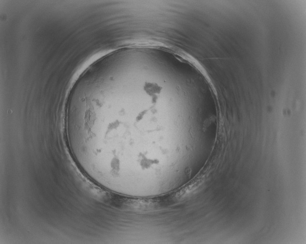 X0000084531195200703091620