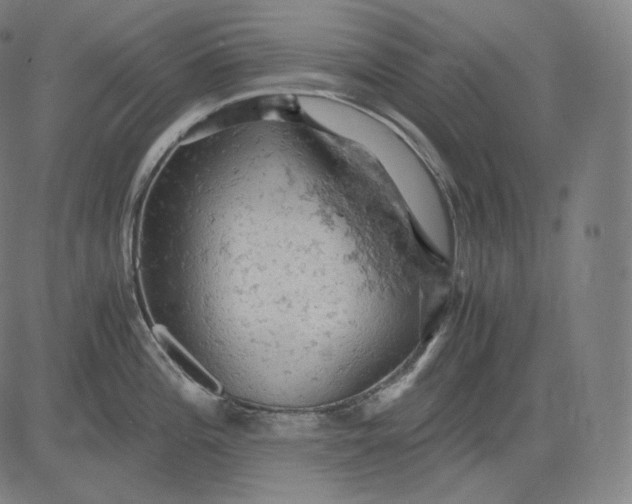 X0000084531196200703091620