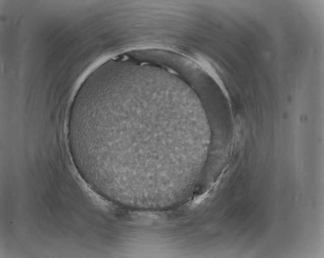 X0000084531197200703091620