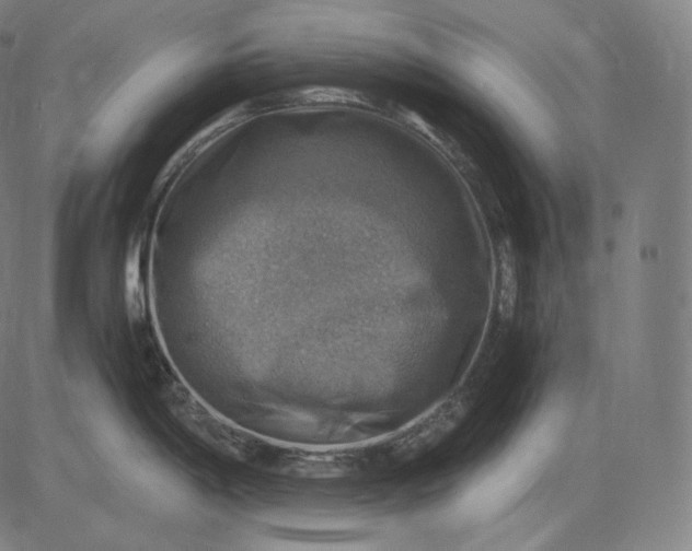 X0000084531198200703091620