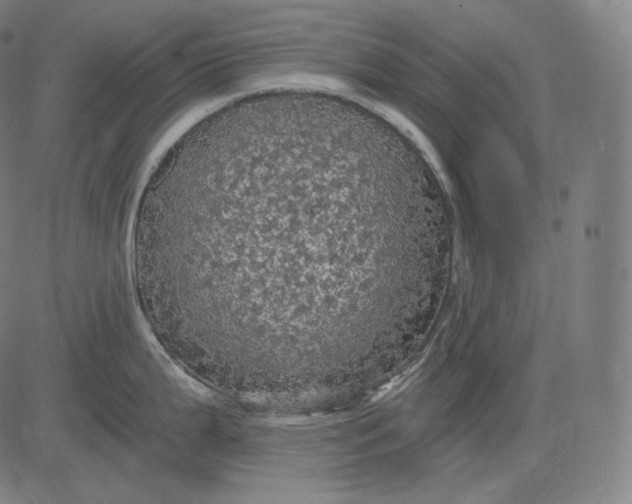 X0000084531199200703091620