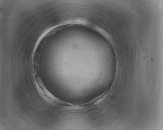 X0000084531200200703091620