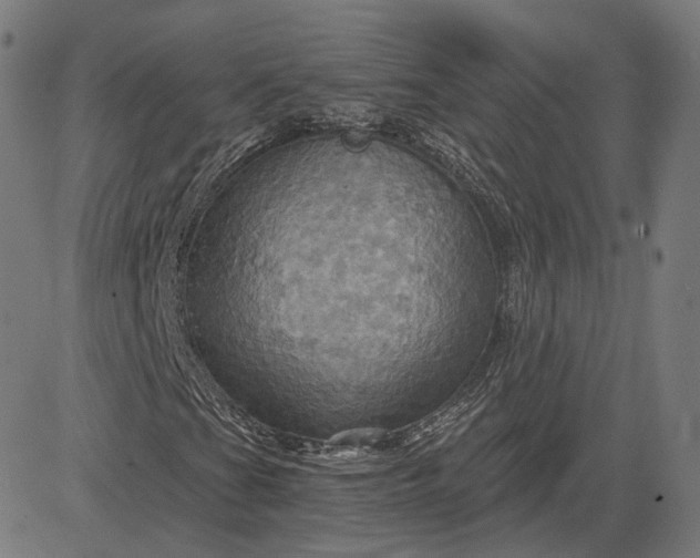 X0000084531201200703091619