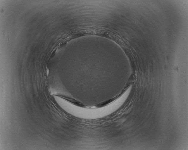 X0000084531202200703091619