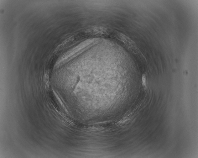 X0000084531203200703091619