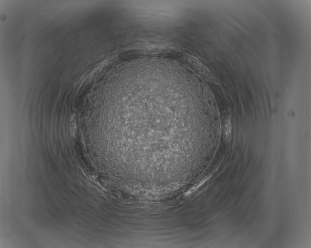 X0000084531204200703091619