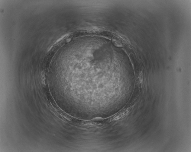 X0000084531205200703091619