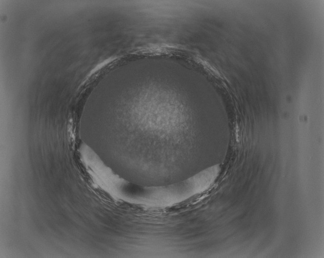 X0000084531206200703091619