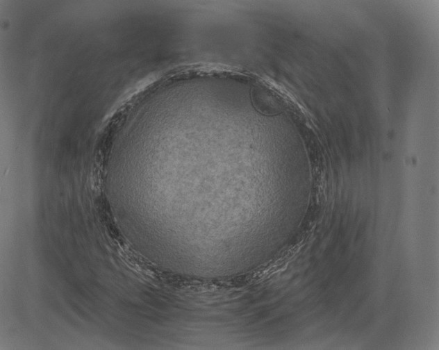 X0000084531207200703091619