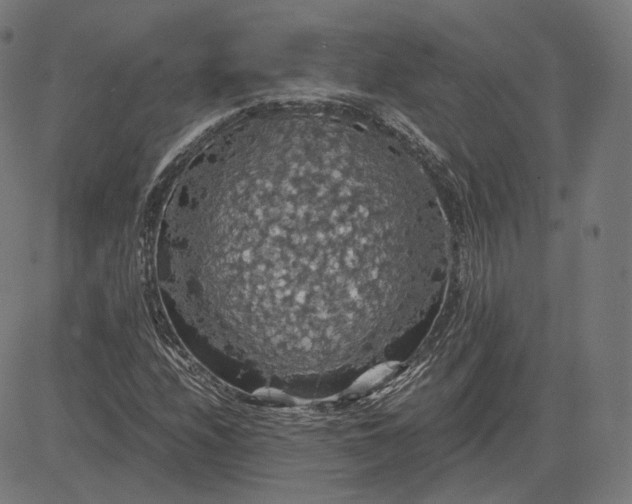 X0000084531208200703091619