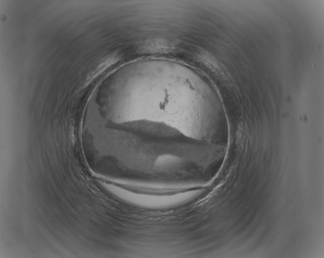 X0000084531209200703091619