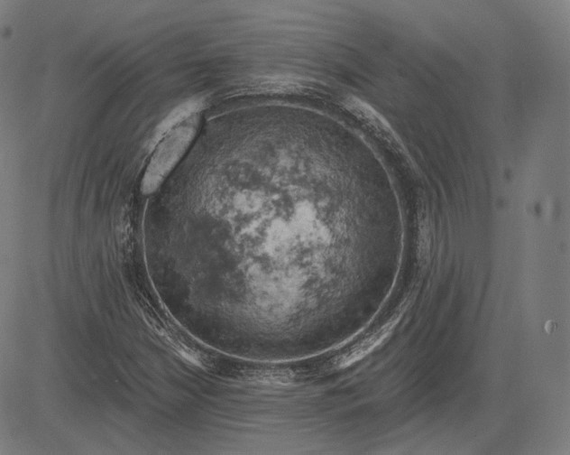 X0000084531210200703091619