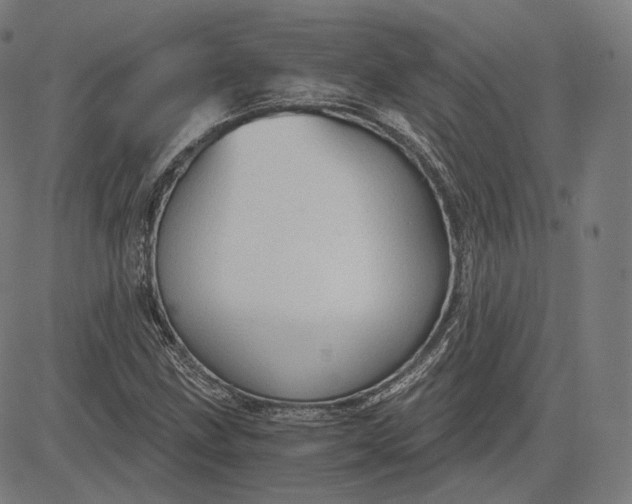 X0000084531211200703091619