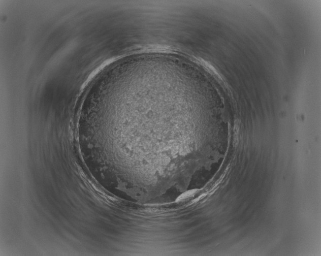 X0000084531212200703091619