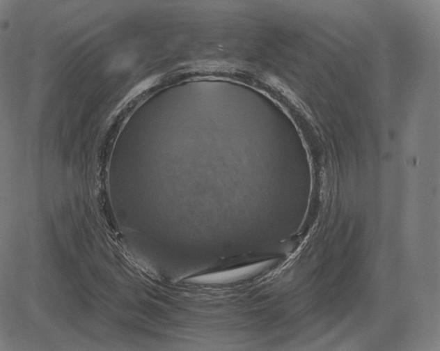 X0000084531213200703091619