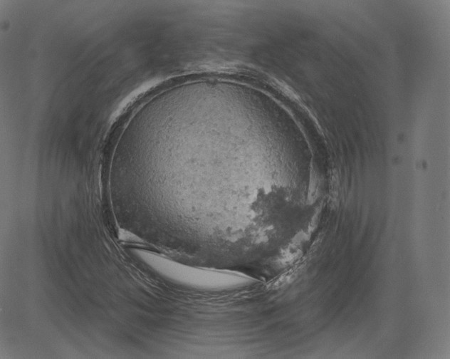 X0000084531214200703091619