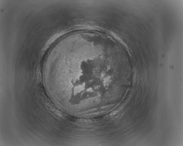 X0000084531215200703091619